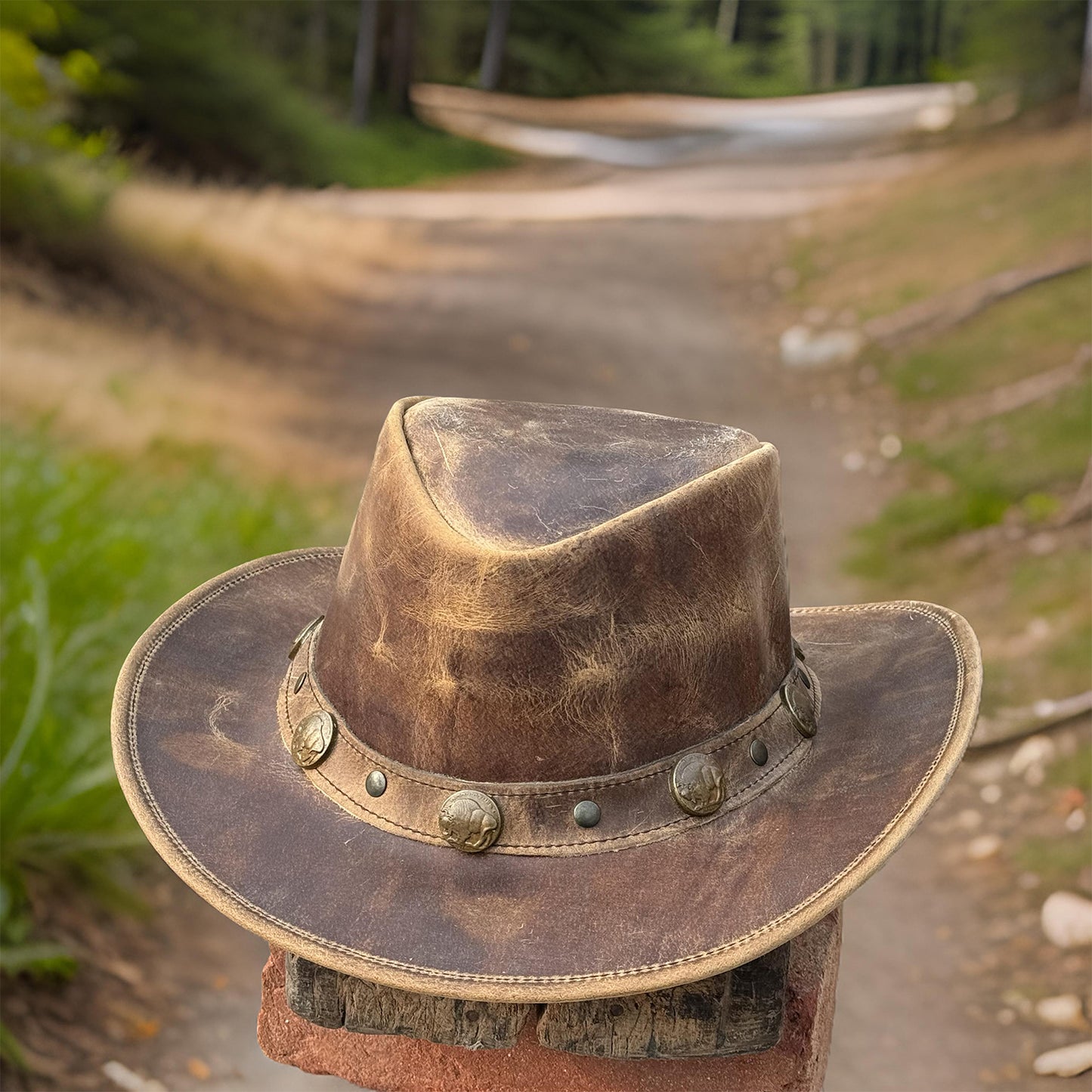 Falcon Suede Distressed Leather Cowboy Hat Men with Buffalo Coin Band - Vintage Womens Cowgirl Hat with Stylish Hat Band